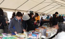 Segunda Feria Escolar del Libro y Lecturas que Florecen se realiza en el Centro Cultural Estación Collilelfu